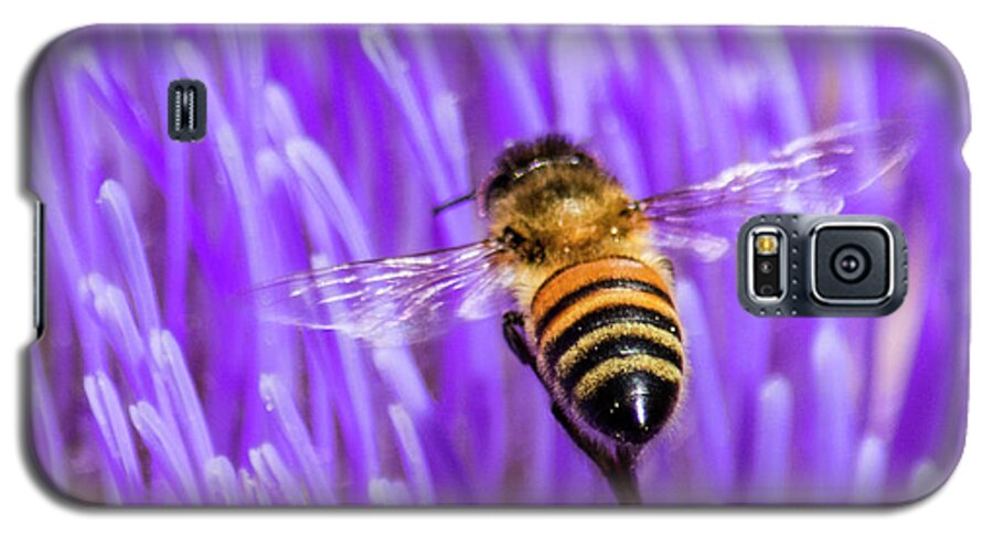 Bee Galaxy S5 Case featuring the photograph Bee with Artichoke Bloom by Brian Tada