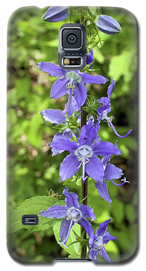 Flower Galaxy S5 Case featuring the photograph Bellflower by Scott Kingery