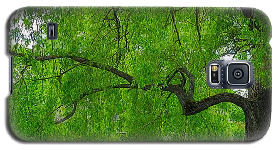 Weeping Willow Galaxy S5 Case featuring the photograph Beneath The Willow by Carol Randall