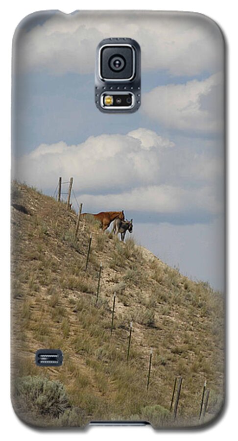 Horse Galaxy S5 Case featuring the photograph Best of Friends by Jody Lovejoy