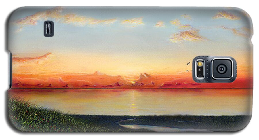Big Assawoman Bay Galaxy S5 Case featuring the painting Big Assawoman Bay by Albert Puskaric