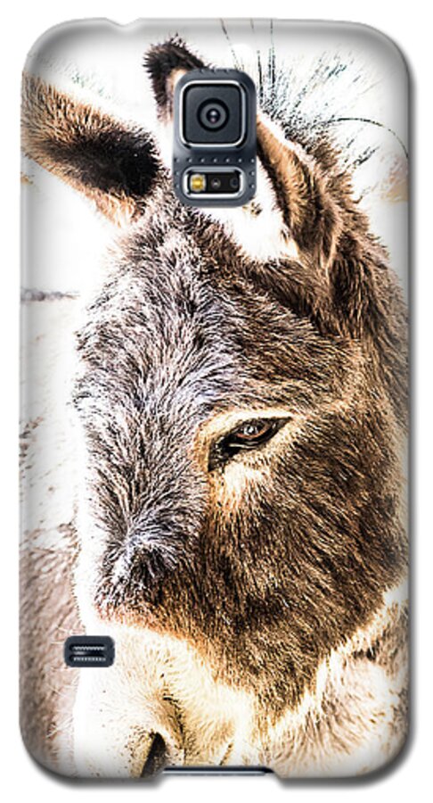 Donkey Galaxy S5 Case featuring the photograph Big Ears by Jennifer Grossnickle