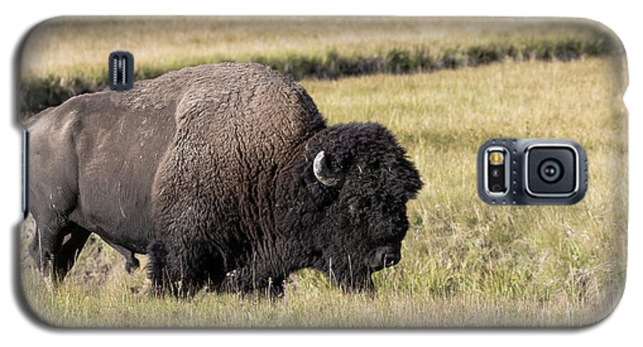 Bison Galaxy S5 Case featuring the photograph Big One by Ronnie And Frances Howard