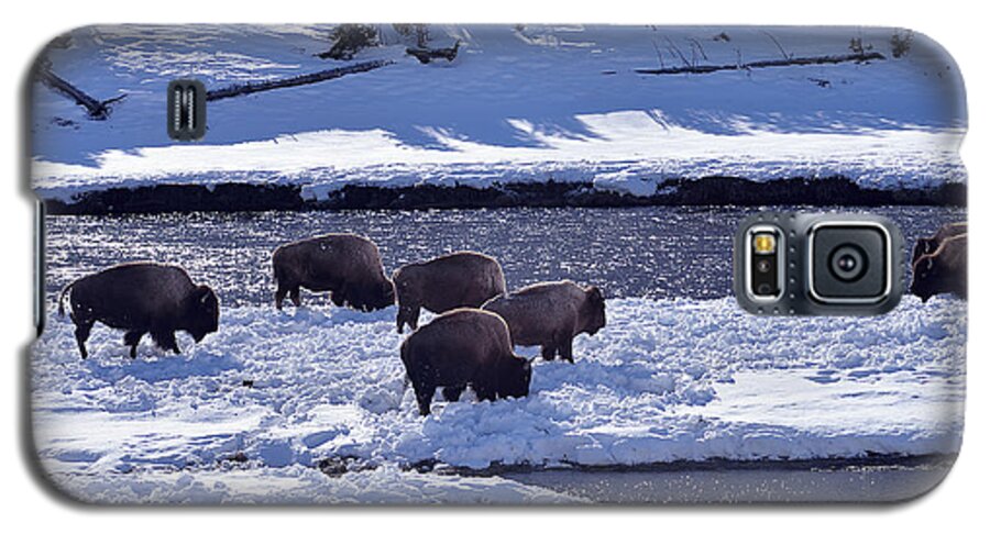 Bison Galaxy S5 Case featuring the photograph Bison on River Strand Landscape by Kae Cheatham