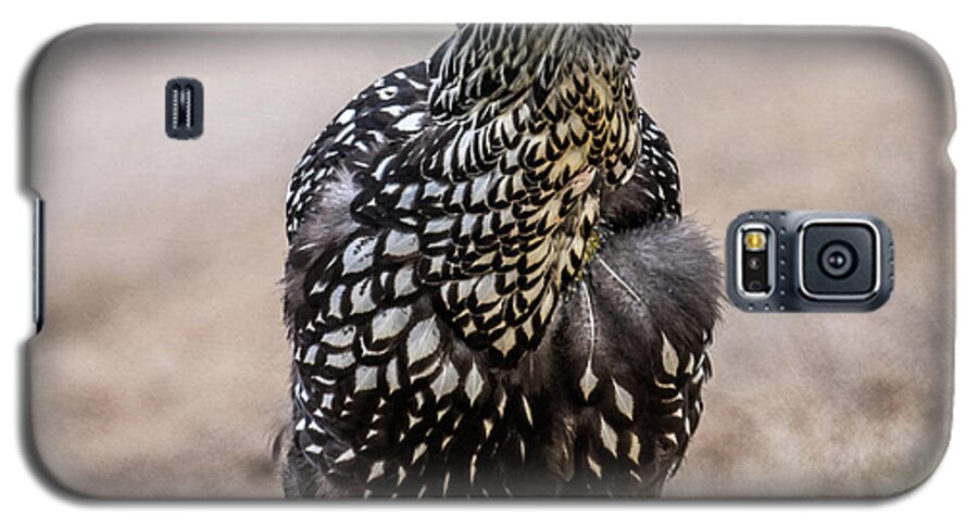Hen And Chicks Galaxy S5 Case featuring the photograph Black and White Chicken by Paul Freidlund