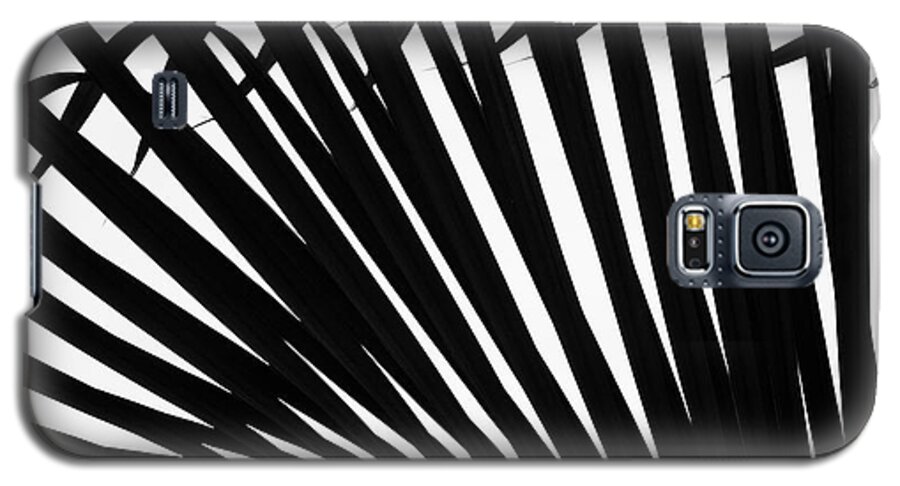 Palm Galaxy S5 Case featuring the photograph Black and White Palm Branch by Christopher Johnson