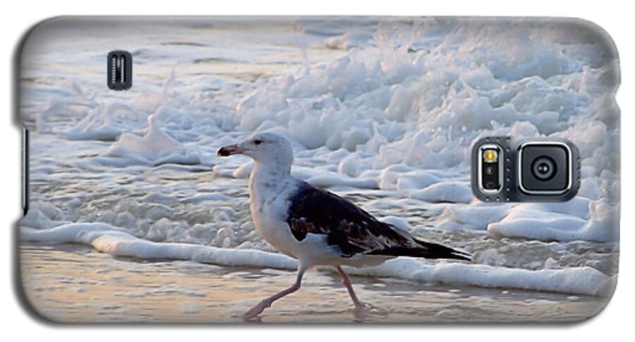 Gull Galaxy S5 Case featuring the photograph Black-backed Gull by Newwwman