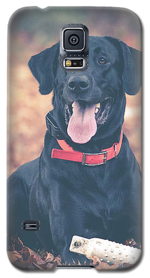 Etriever Galaxy S5 Case featuring the photograph Black Labrador in the Fall Leaves by Eleanor Abramson
