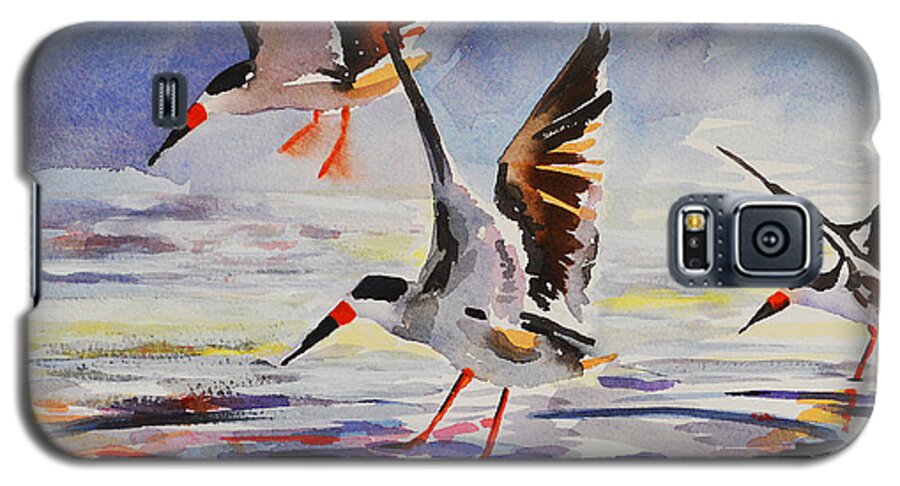 Original Galaxy S5 Case featuring the painting Black Skimmers 2-18-16 by Julianne Felton