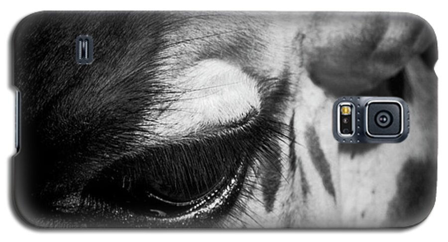 Giraffe Galaxy S5 Case featuring the photograph Blink of an Eye by Karen Lewis