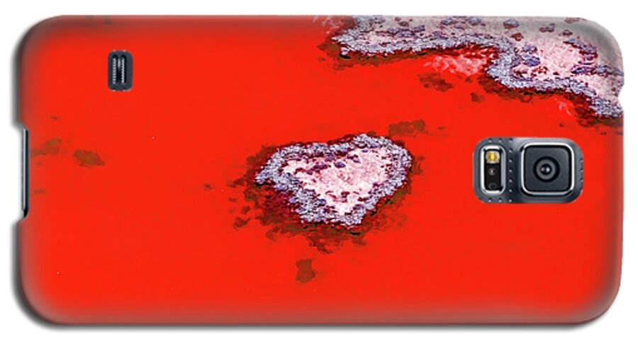 Australia Galaxy S5 Case featuring the photograph Blood Red Heart Reef by Az Jackson