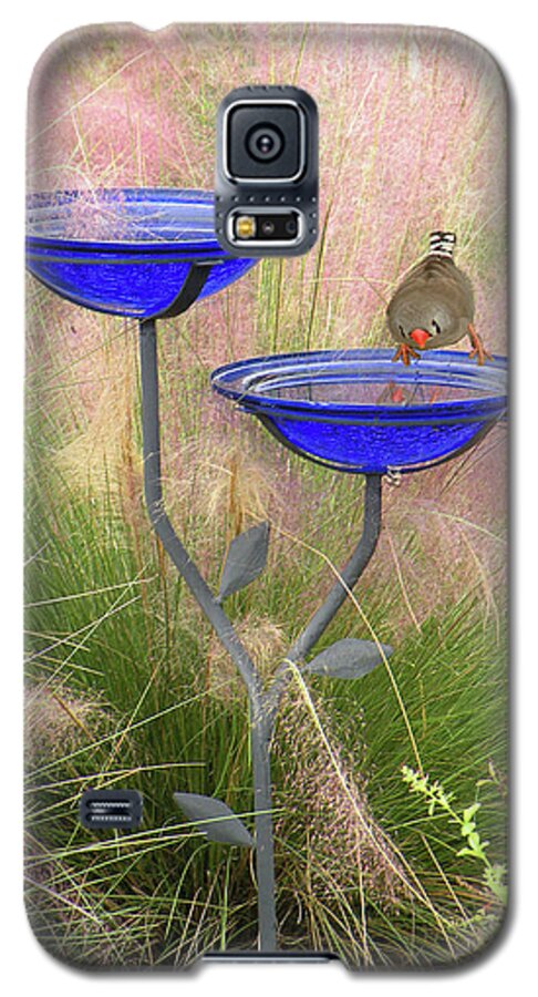 Baths Galaxy S5 Case featuring the photograph Blue Bird Bath by Rosalie Scanlon