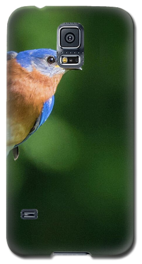 Dunbar Cave State Park Galaxy S5 Case featuring the photograph Blue Bird by John Benedict