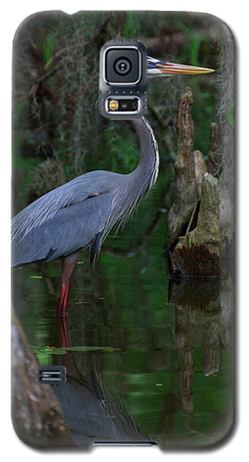 Birds Galaxy S5 Case featuring the photograph Blue Heron by Dillon Kalkhurst