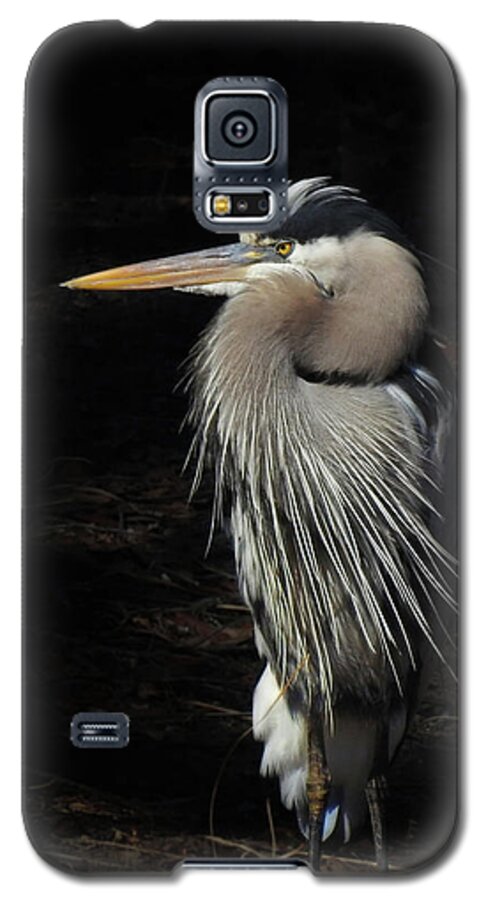Great Blue Heron Galaxy S5 Case featuring the photograph Blue Heron Gaze by Deborah Smith