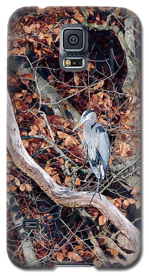 Birds Galaxy S5 Case featuring the photograph Blue Heron in Tree by Paul Ross
