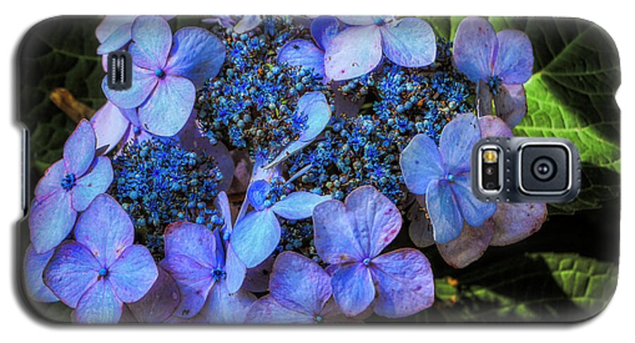 Flowers Galaxy S5 Case featuring the photograph Blue In Nature by Elaine Malott