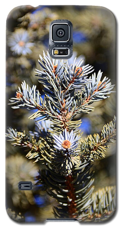  Yellow Galaxy S5 Case featuring the photograph Blue needles by Robert WK Clark