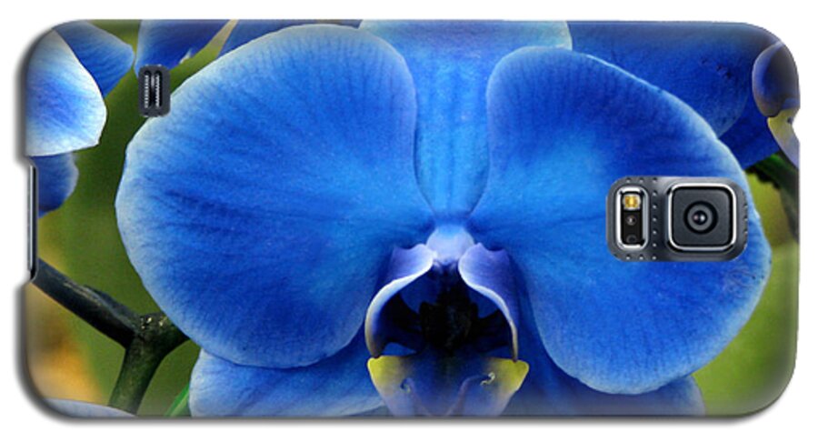 Nature Galaxy S5 Case featuring the photograph Blue Orchid by Peggy Urban