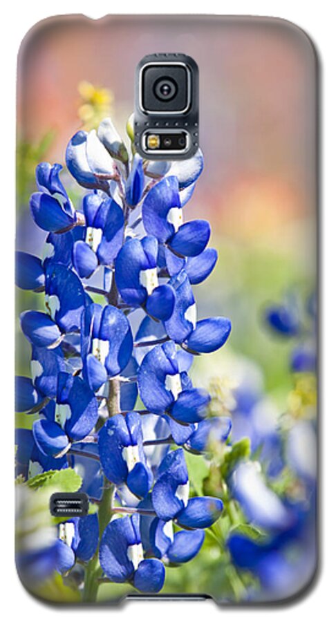 Blue Galaxy S5 Case featuring the photograph Bluebonnet 1 by Olivier Steiner
