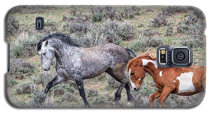 Wild Stallions Galaxy S5 Case featuring the photograph Bravado by Jim Garrison