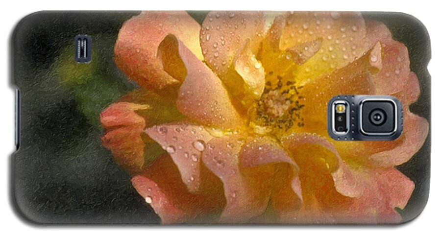 Bridal Pink Yellow Galaxy S5 Case featuring the photograph Bridal Pink Yellow Hybrid Tea Rose genus Rosa by David Zanzinger