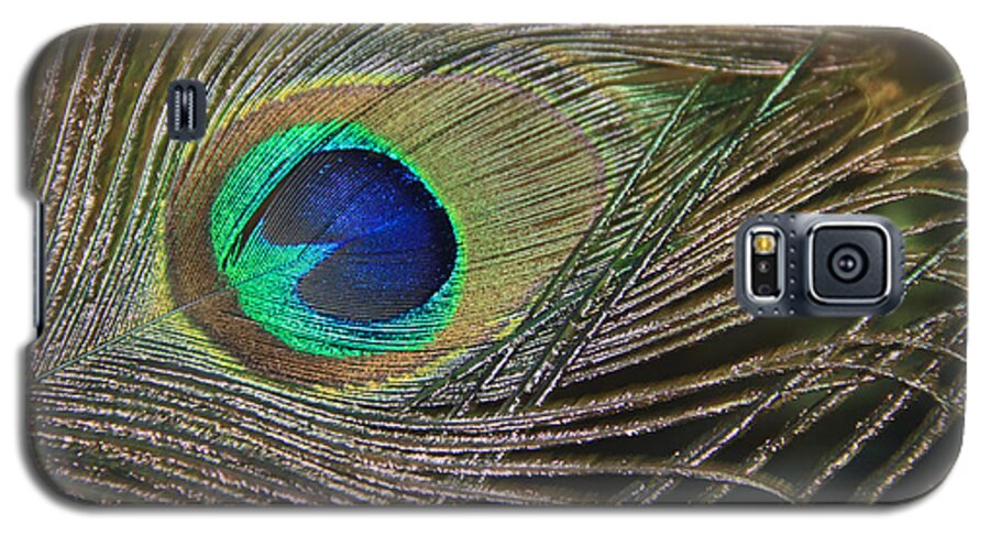 Peacock Galaxy S5 Case featuring the photograph Bright Feather by Angela Murdock
