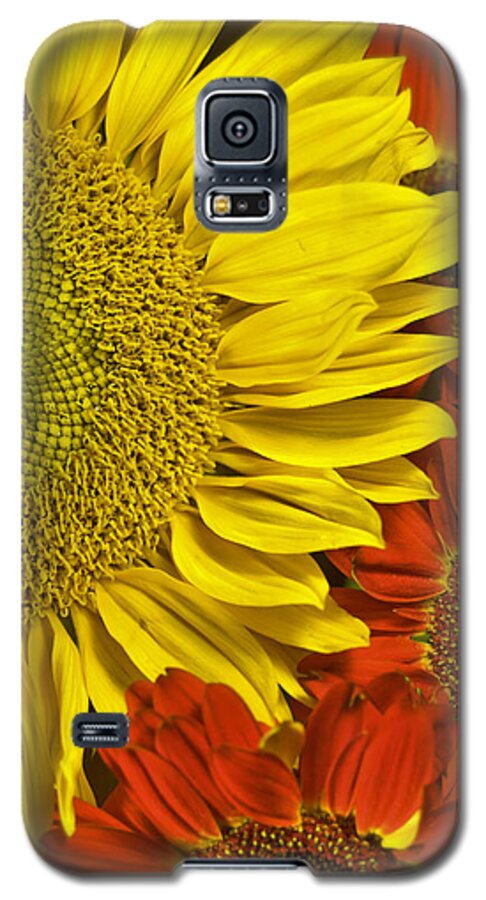 Sunflower Galaxy S5 Case featuring the photograph Brilliant Autumn by Elsa Santoro