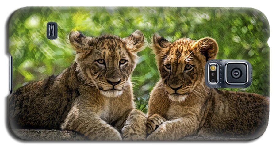Asia Galaxy S5 Case featuring the photograph Brothers Chillin by Cheri McEachin