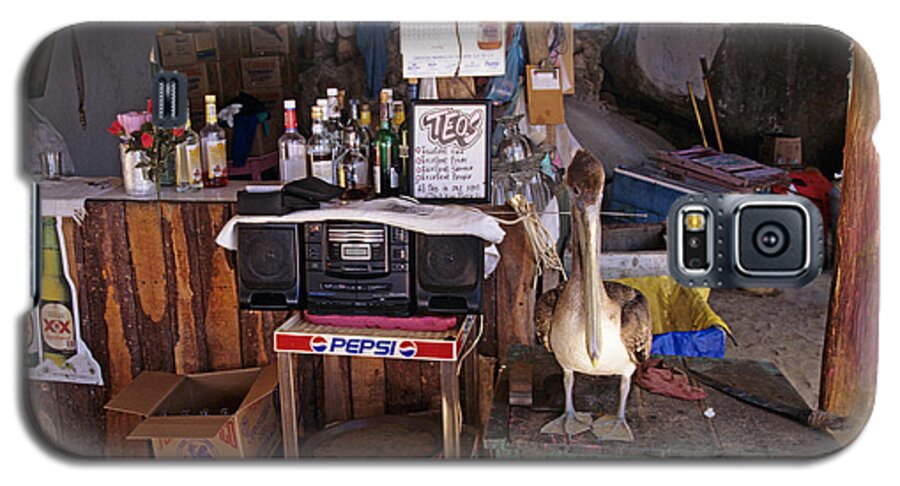 Mexican Beach Bar Galaxy S5 Case featuring the photograph Brown Pelican Visiting Mexican beach bar by John Harmon