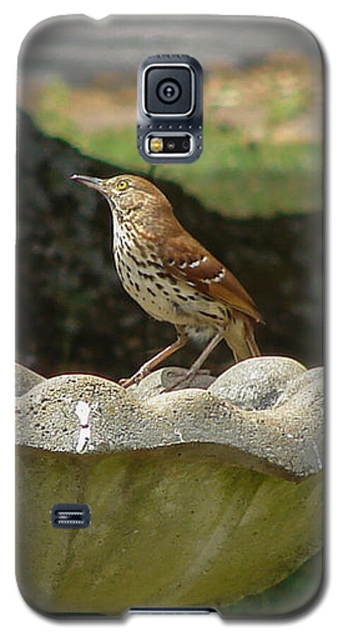 Bird Galaxy S5 Case featuring the photograph Brown Thrasher Bath by Carl Moore