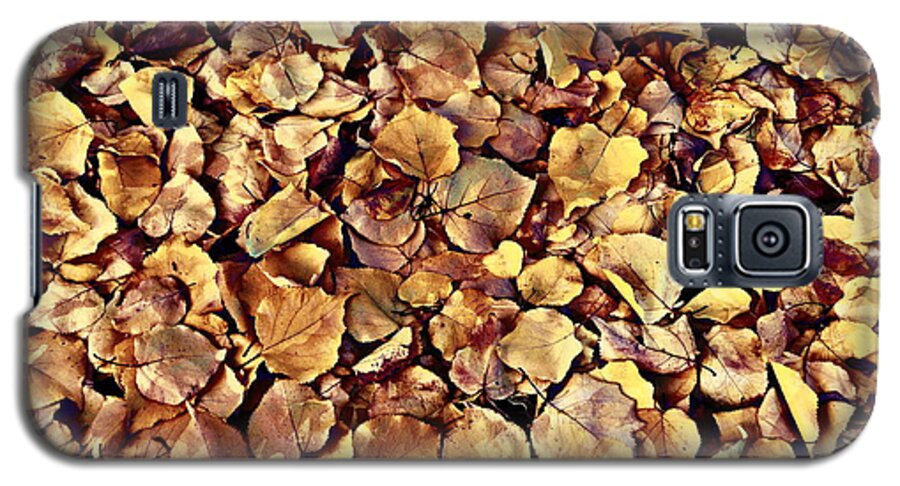 Leaves Galaxy S5 Case featuring the photograph Browning Leaves by Glenn McCarthy Art and Photography
