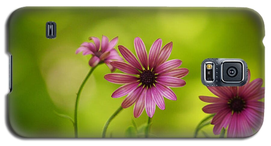 Flowers Galaxy S5 Case featuring the photograph Bubbly Sopranos by Dorothy Lee