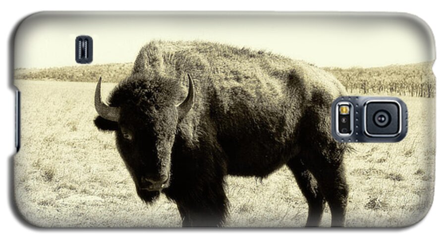 Bison Galaxy S5 Case featuring the photograph Buffalo in Sepia by Tony Grider