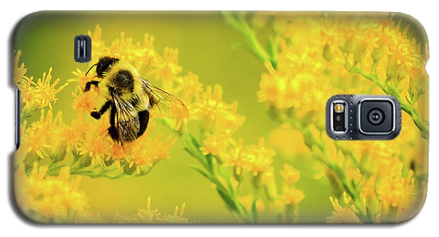 Bee Galaxy S5 Case featuring the photograph Bumble Bee on Goldenrod by Joni Eskridge