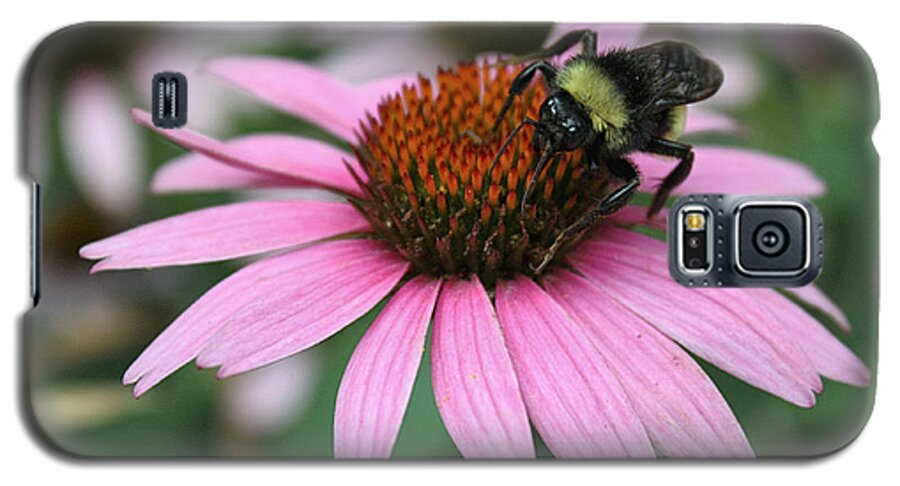 Nature Galaxy S5 Case featuring the photograph Bumble Bee on Pink Coneflower by Sheila Brown