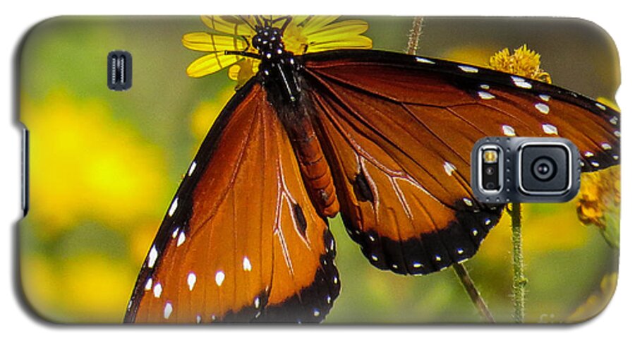 Nature Galaxy S5 Case featuring the photograph Butterfly 1 by Christy Garavetto