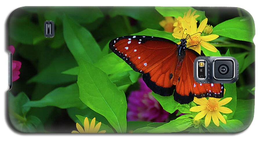 Butterfly Galaxy S5 Case featuring the photograph Butterfly 4 by Tony HUTSON