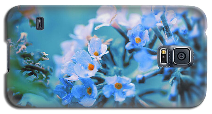 Flower Galaxy S5 Case featuring the photograph Butterfly Bush by Douglas MooreZart