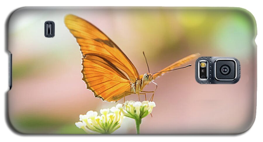 Butterfly Galaxy S5 Case featuring the photograph Butterfly - Julie Heliconian by Pamela Williams