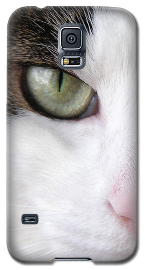 Faunagraphs Galaxy S5 Case featuring the photograph C5 Yoshua by Torie Tiffany