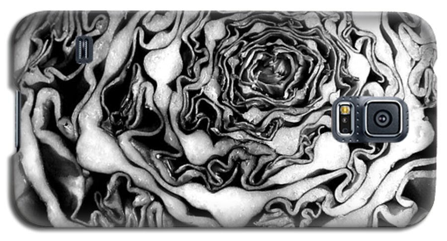Artoffoxvox Galaxy S5 Case featuring the photograph Cabbage Fractal Photograph by Kristen Fox