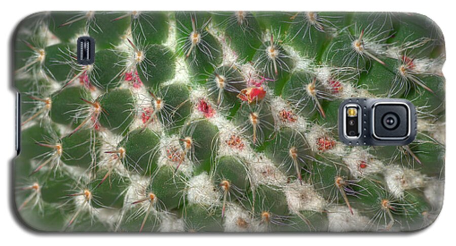 Cactus Galaxy S5 Case featuring the photograph Cactus 5 by Jim And Emily Bush