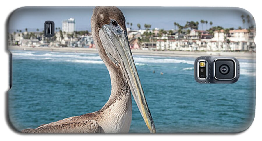 Animal Galaxy S5 Case featuring the photograph California Pelican by John Wadleigh