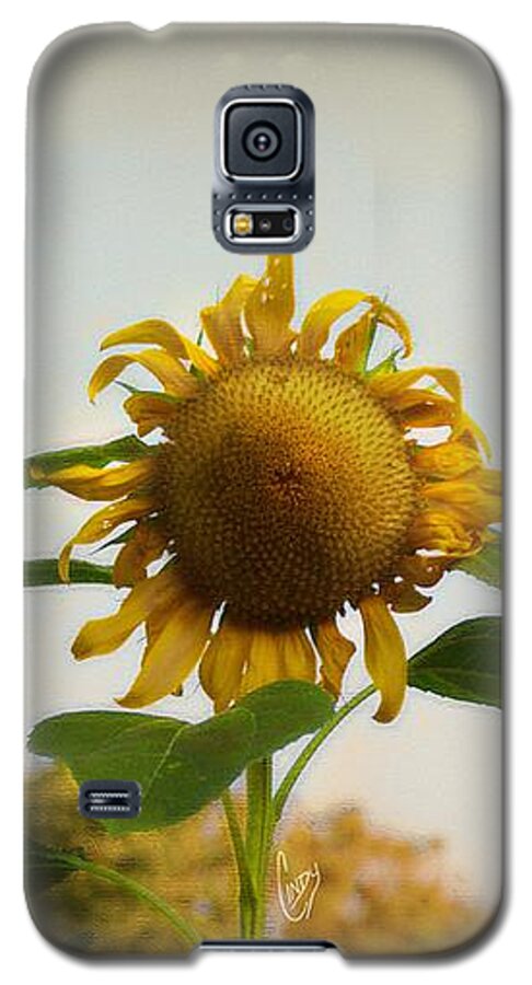 Sunflower Galaxy S5 Case featuring the photograph Californian Tuscany by Cindy Garber Iverson