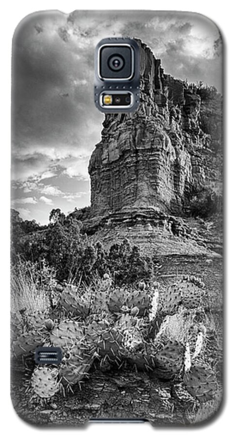 Caprock Canyons State Park Galaxy S5 Case featuring the photograph Caprock and Cactus by Stephen Stookey