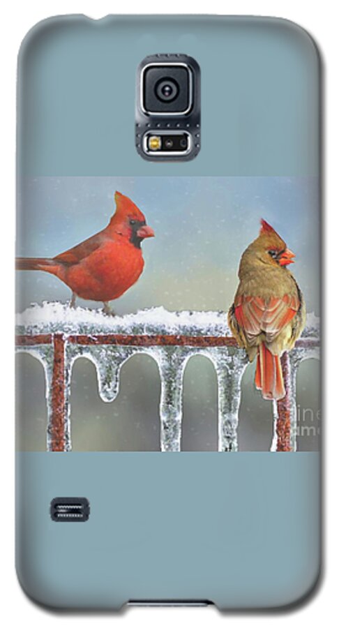 Icicles Galaxy S5 Case featuring the photograph Cardinals and Icicles by Janette Boyd