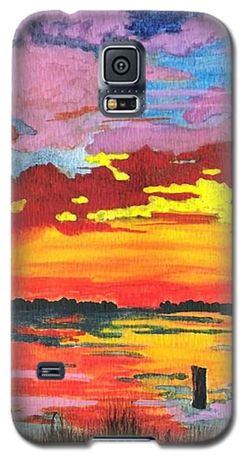 Original Painting Galaxy S5 Case featuring the painting Carolina Sunset by Patricia Griffin Brett