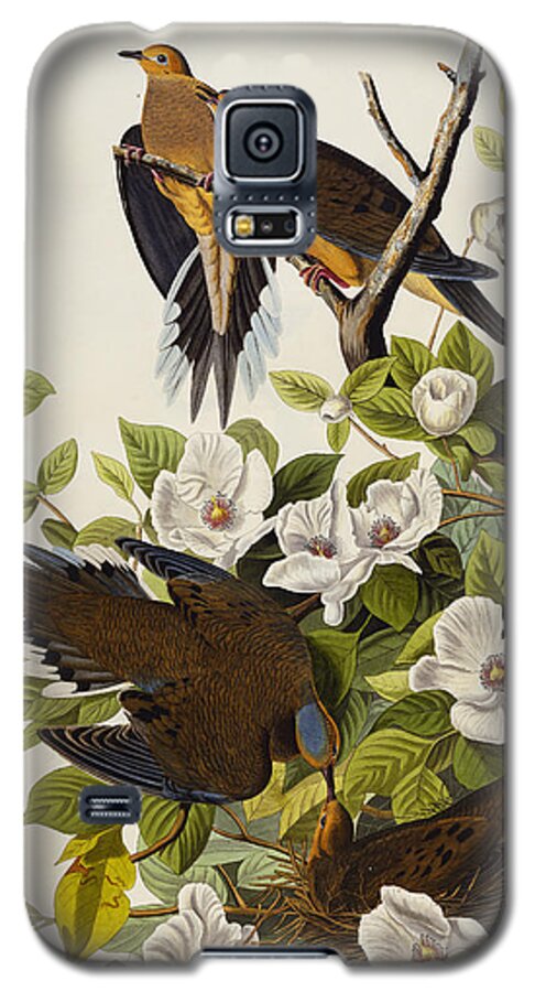 Doves Galaxy S5 Case featuring the drawing Carolina Turtledove by John James Audubon