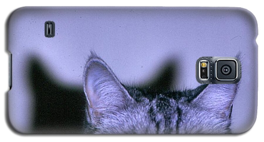 Cat Galaxy S5 Case featuring the photograph Cat See Me by Lin Grosvenor